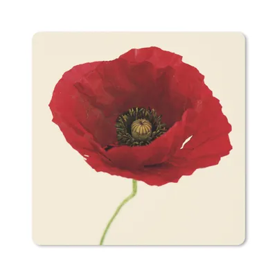 Produktbild von MuchoWow® Mauspad Mousepad Nahaufnahme einer roten Mohnblume 20x20 cm - Mousepads - Maus Mat - Pad - Mausunterlage - Desk Mat - Bureauartikeln
