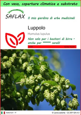 Immagine prodotto di SAFLAX Garden to go - Luppolo - 50 semi - Humulus