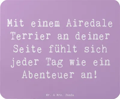 Produktbild von Mr. & Mrs. Panda Mauspad Spruch Airedale Terrier Abenteuer - Lavendeltraum - Geschenk, laptop, Hunderassen Charakter, Hunderasse, Vielfalt, Mouse Pad, Freundschaft, pc