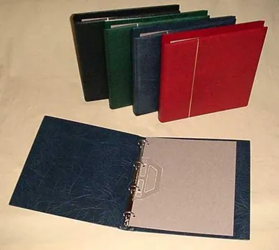 Produktbild von Grünes Ringbuch Nr. P, wattiert, 4-Ring-Mechanik, 300x315 mm, 46 mm Rückenbreite