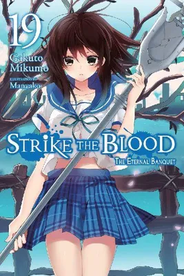 Produktbild von Strike the Blood, Vol. 19 (light novel)