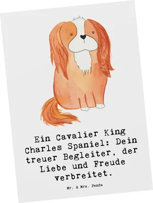 Produktbild von Mr. & Mrs. Panda Postkarte Cavalier King Charles Spaniel - Weiß - Geschenk, liebevoll, Ansichtskarten, Fotokarte, treuer Begleiter, Familienhund, Freude, Hunderasse, Hund