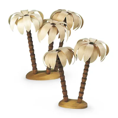 Productafbeelding van Palmkroon (17 cm) van Müller Kleinkunst