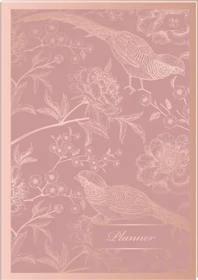 Immagine prodotto di INTERDRUK planner A5 80 oro rosa Interdruk