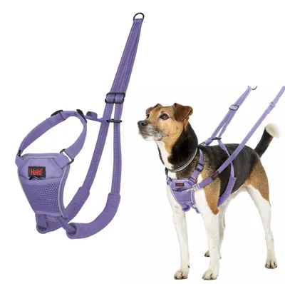 Image de Halti, harnais anti-traction pour chien, taille S, couleur violet