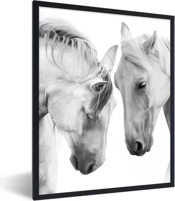 Produktbild von MuchoWow® Gerahmtes Poster Pferd - Tiere - Porträt - Weiß 60x80 cm - Poster mit Schwarzem Bilderrahmen Wandposter Rahmen Foto Bilder - Premium - Wanddeko Wohnzimmer