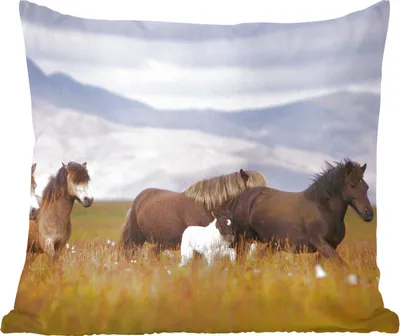 Produktbild von MuchoWow® Zierkissen Sofakissen Wohnzimmer Dekokissen 60x60 cm Pferde - Gras - Berge - Sitzfläche - Foto Polster