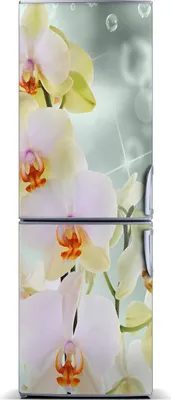 Produktbild von Tulup Kühlschrankdekoration - Magnetmatte - 70 cm x 190 cm - Magnet auf dem Kühlschrank - Orchidee