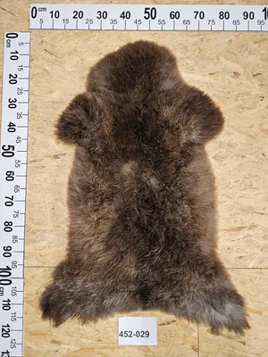 Produktbild von Schaffell Naturfarbe Unikat 452-029