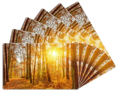 Produktbild von Wallario Frühstücksbrettchen 6er Set aus Glas, je 14 x 23 cm, mit rutschfesten Füßen, Motiv Sonnenuntergang im herbstlichen Wald