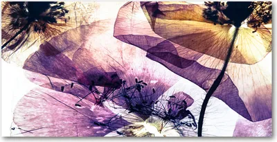 Produktbild von Tulup® Leinwandbild -100x50 cm - Wandkunst - Drucke auf Leinwand - Leinwanddruck - Blumen & Pflanzen - Lila - Trockene Mohnblumen