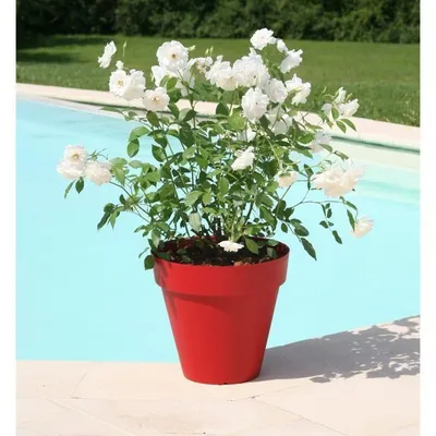 Produktbild von RIVIERA Soleilla Blumentopf – Rund – Ø 60 x 53,6 cm – Rot