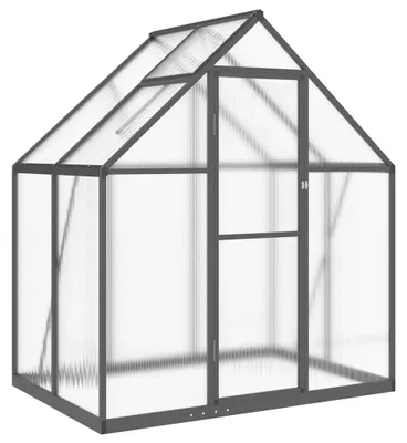 Image de vidaXL Serre avec cadre de fondation anthracite 169x114x195 cm Alu