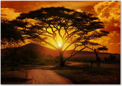 Produktbild von Tulup® Leinwandbild - 100x70 cm - Wandkunst - Drucke auf Leinwand - Leinwanddruck  - Landschaften - Orange - Westafrika