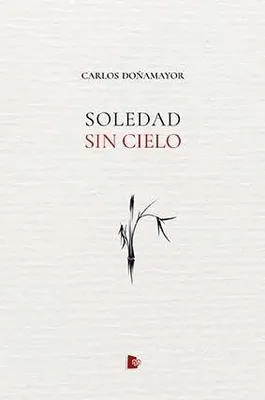 Produktbild von Soledad sin cielo