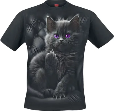 Produktbild von Spiral T-Shirt Uni Cattitude schwarz 3XL