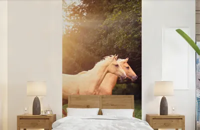 Produktbild von Tiermuster-Wandtapete Pferde - Sonne - Breite 120 cm x Höhe 240 cm