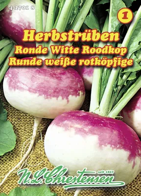 Produktbild von Herbstrübe Runde weiße rotköpfige | Herbstrübensamen von N.L. Chrestensen