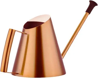 Produktbild von Gießkanne mit Sprühdüse - 900 ml - Gold Bronze