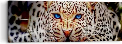 Produktbild von Bild auf Leinwand - Leinwandbild - Panther Tier - 90x30cm - Wand Bild - Wanddeko - Wandbilder - Leinwanddruck - Bilder - Kunstdruck - Wanddekoration - Leinwand bilder - Wandkunst - CA90x30-3506