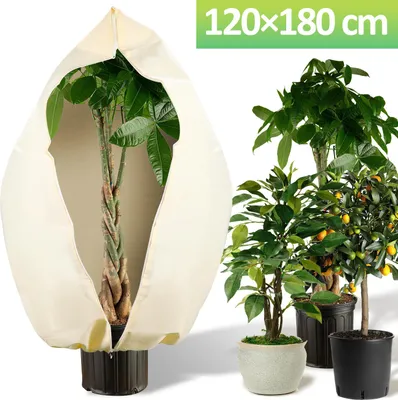 Zdjęcie produktu dla Jayseuw, ochrona przed zimą, 120x180 cm, do roślin w doniczkach, palmy, ochrona przed mrozem, ochrona roślin, agrowłóknina, 100 g/m²