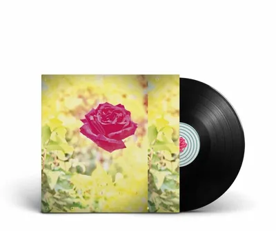 Obrázek produktu pro Lambchop - Trip (LP)