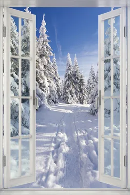 Produktbild von Wallario Poster mit Fenster-Illusion: Wanderweg im Schnee, Größe: 61 x 91,5 cm (Maxiposter)