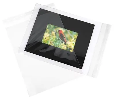 Produktbild von Klappenbeutel 24x31.2cm Hochtransparent (100 Stück)