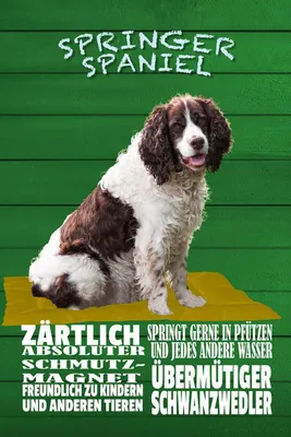 Produktbild von vianmo Holzschild 30x20 cm Springer Spaniel Hund zärtlich Tier Haustier