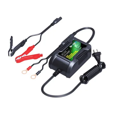 Immagine prodotto di Caricabatterie SKYRICH 12V 2Ah