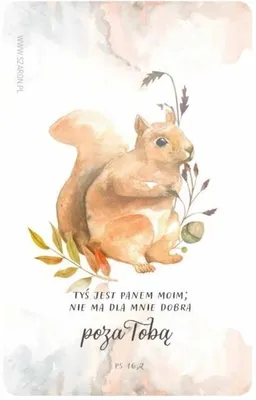 Produktbild von Kühlschrankmagnet - Eichhörnchen