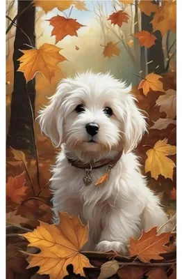 Immagine prodotto di Mosaico a forma di Maltese, autunno, 30x40 cm, kit creativo per mosaici con diamanti