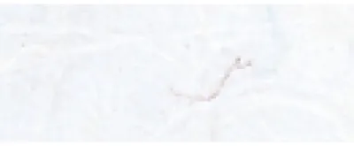 Zdjęcie produktu dla Ludwig Bähr Straw Silk Digital DIN A4 w kolorze białym z włóknami 10 arkuszy