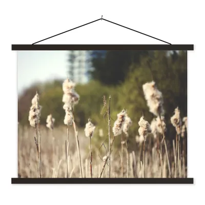 Produktbild von MuchoWow® Textilposter Baumwolle - Sonne - Pflanzen 40x30 cm mit schwarzem Rahmen - Dekorationen