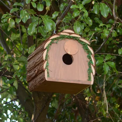 Produktbild von Vogelfutterstation - 2-in-1 Futterhaus - wetterbeständig - rustikal
