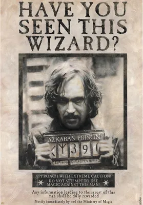 Produktbild von Harry Potter - Poster - Sirius Black