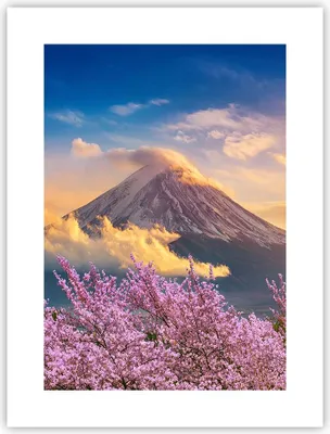 Produktbild von Poster - Poster ohne Rahmen - Fuji Blume Kirsche - 30x40 cm - Wand Bild - Wanddeko - Wandbilder - Kunstposter - Wandposter - Bilder - Kunstdruck - Wanddekoration - Wandbild - P2XPA30x40-4490