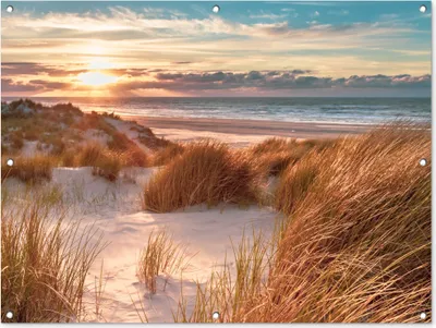 Produktbild von MuchoWow® 120x90 cm Outdoor-Poster Gartendeko Sichtschutz Garten Poster für den Garten  Düne - Pflanzen - Sonnenuntergang - Strand - Meer