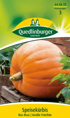 Produktbild von Quedlinburger Saatgut - Speisekürbis Big Max - Samen - 445875