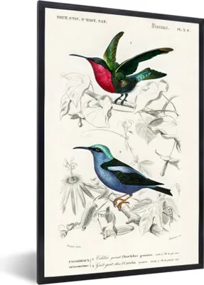 Produktbild von MuchoWow® MuchoWow® Gerahmtes Poster Vogel - Vintage - Zweig 40x60 cm - Poster mit zchwarzem Bilderrahmen - Papierdruck - Wandbilder