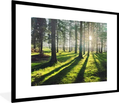 Produktbild von MuchoWow® Gerahmtes Poster Bäume - Natur - Wald 80x60 cm - Poster mit Schwarzem Bilderrahmen Wandposter Rahmen Foto Bilder - Schlafzimmer-Dekorationen - Fotoposter