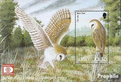 Produktbild von Briefmarken GB - Jersey 2001 Mi Block30I (kompl.Ausg.) postfrisch Raubvögel