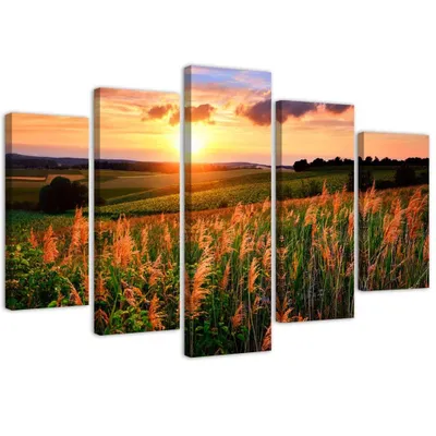 Produktbild von 5-teiliges leinwandbild sonnenuntergang über einer wiese 150x100 cm Feeby orange wandbild bereit zum aufhängen