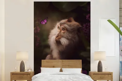 Produktbild von MuchoWow® Fototapete für Wohnzimmer oder Schlafzimmer Wandtapete Vinyl Motivtapete Affe - Schmetterling - Dschungel - 160x240 cm - Vinyltapete