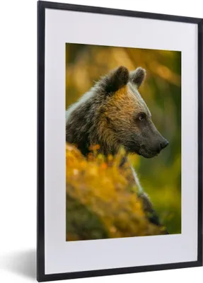 Produktbild von MuchoWow® MuchoWow® Gerahmtes Poster Bär - Braun - Nahaufnahme 40x60 cm - Poster mit zchwarzem Bilderrahmen - Poster in Rahmen