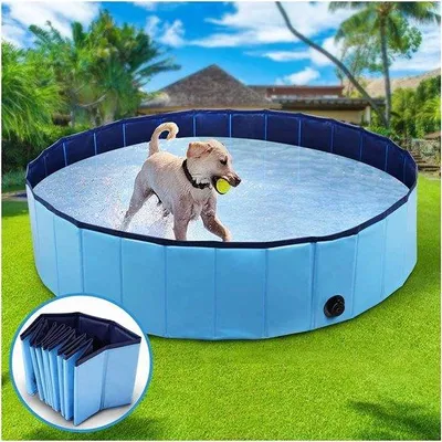 Produktbild von Famanu Hundepool faltbar und rutschfest - 120 x 30 cm blau