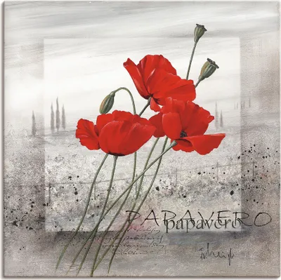 Produktbild von Franz Heigl: Mohnblumen an einem nebligen Morgen, Produkt:Leinwand, Größe (HxB):50x50 cm / Leinwand