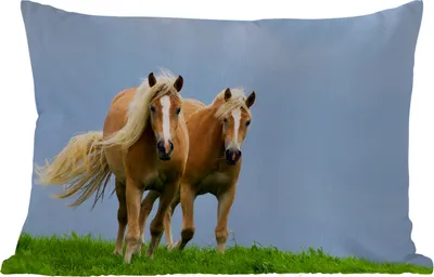 Produktbild von MuchoWow® Outdoor Kissen - Pferde - Gras - Luft - 60x40 cm - Wetterfest - Lounge Kissen - Zierkissen - Kissen für Innenräume
