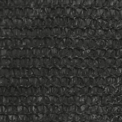 Produktbild von The Living Store Sonnensegel 160 g/m² Anthrazit 2x2,5 m HDPE