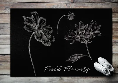 Produktbild von Fußmatte Aussen - Schuhmatte Haustür- Schmutzfangmatte Türvorleger - Outdoor Teppich Schmutzfänger - 150x100 cm - Kamilleblume